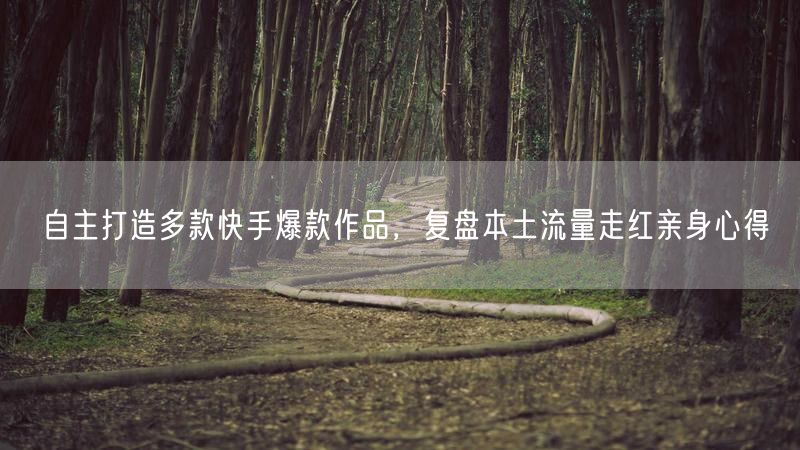 自主打造多款快手爆款作品，复盘本土流量走红亲身心得