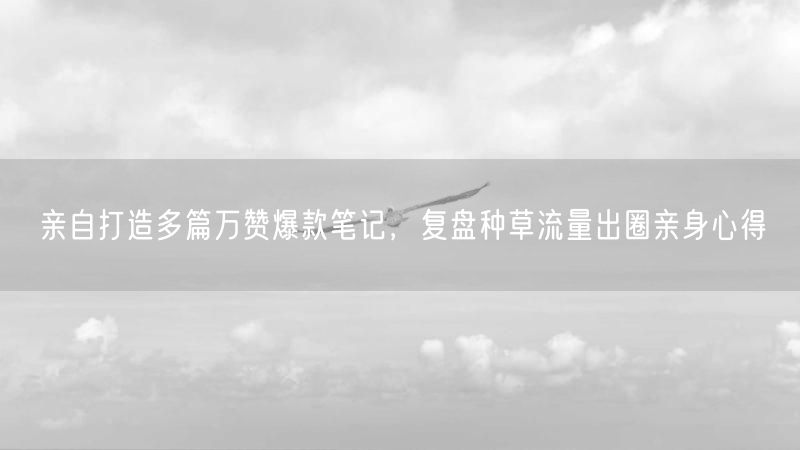 亲自打造多篇万赞爆款笔记，复盘种草流量出圈亲身心得