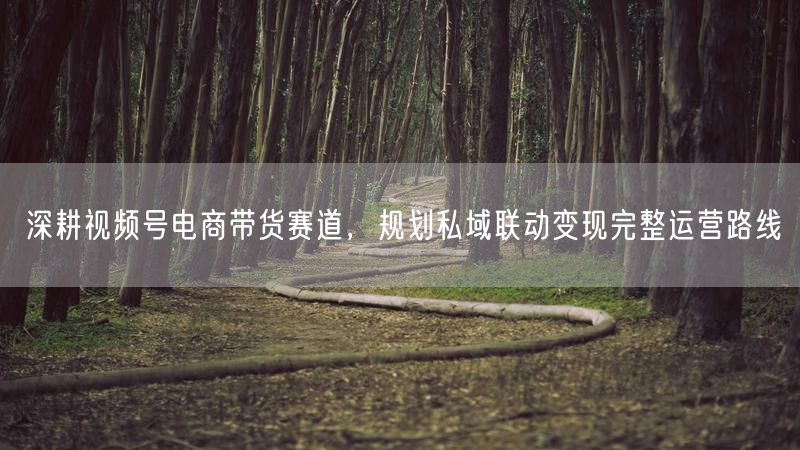 深耕视频号电商带货赛道，规划私域联动变现完整运营路线