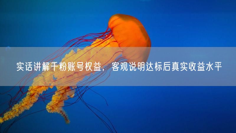 千粉账号权益全解析，达标后真实收益水平大揭秘