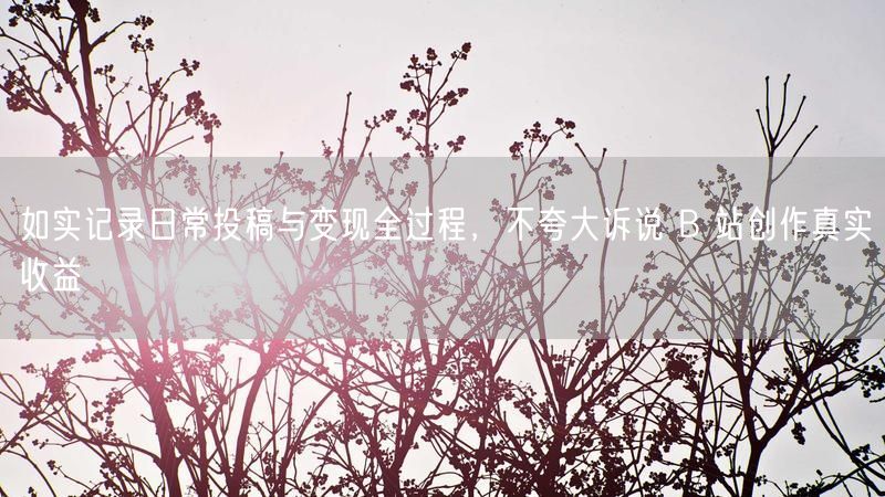 如实记录日常投稿与变现全过程,不夸大诉说 B 站创作真实收益