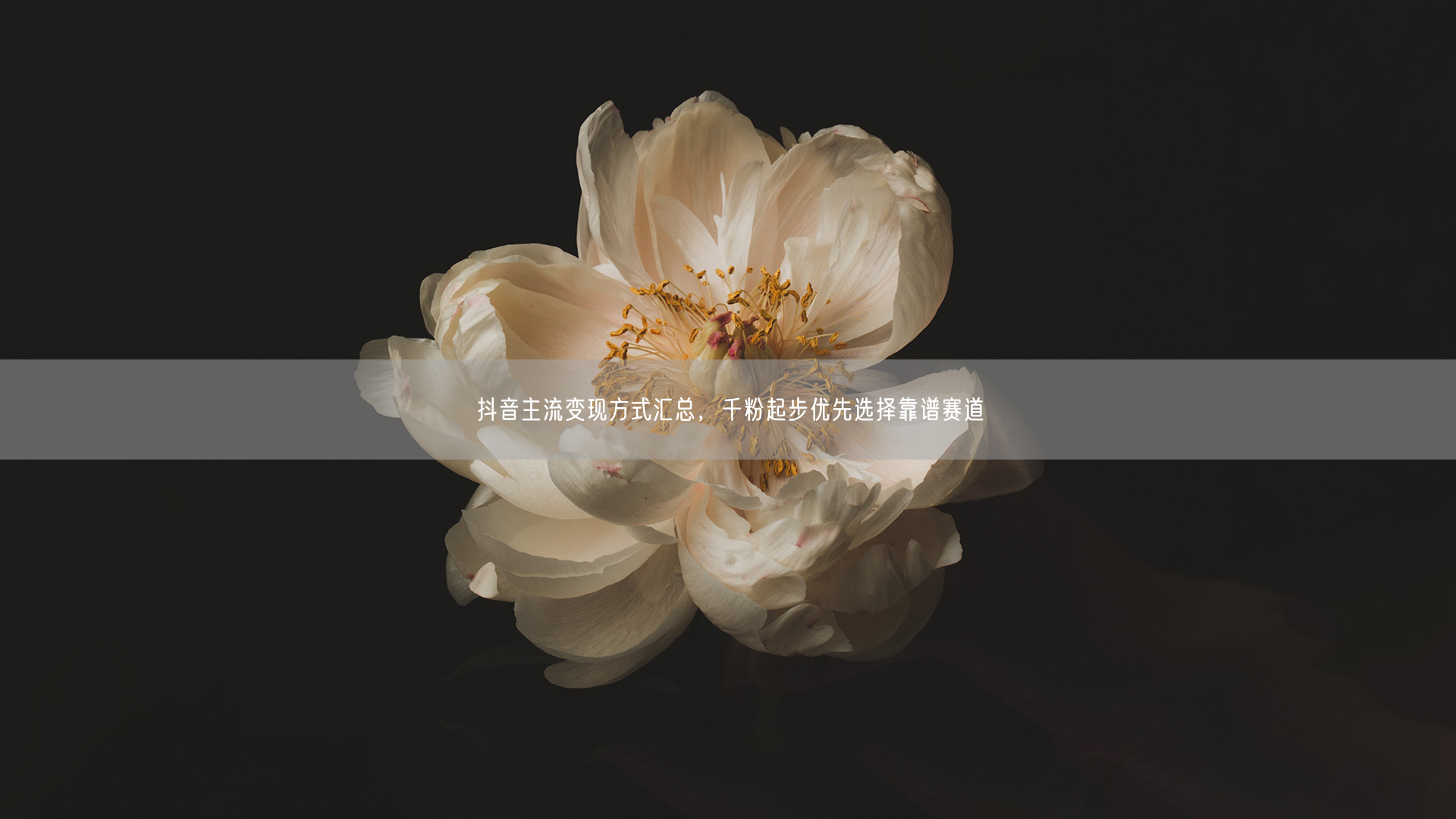 抖音主流变现方式汇总，千粉起步优先选择靠谱赛道