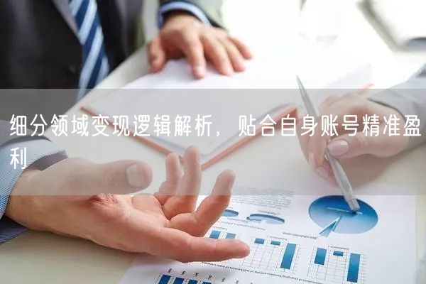 细分领域变现逻辑解析，贴合自身账号精准盈利