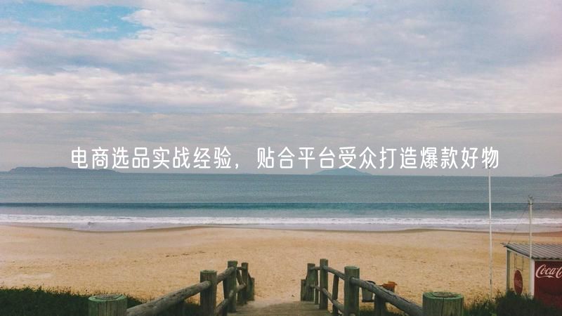 电商选品实战经验，贴合平台受众打造爆款好物