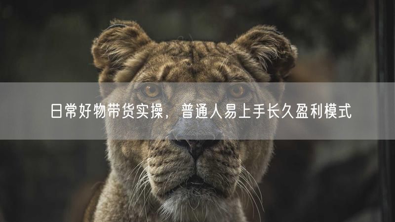 日常好物带货实操：普通人选品盈利长久模式