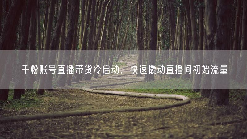 千粉账号直播带货冷启动：快速引爆初始流量秘籍