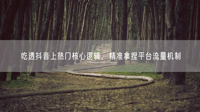 掌握抖音上热门逻辑：流量机制、内容与互动全解析