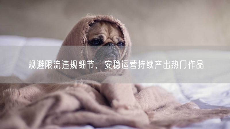 规避限流违规细节，安稳运营持续产出热门作品