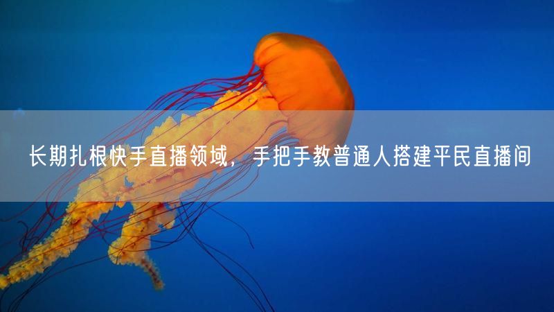 长期扎根快手直播领域，手把手教普通人搭建平民直播间