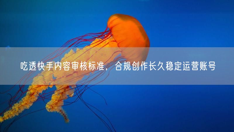 掌握快手内容审核标准，合规创作促账号稳健运营