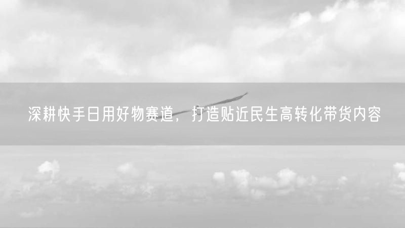 深耕快手日用好物赛道，打造贴近民生高转化带货内容