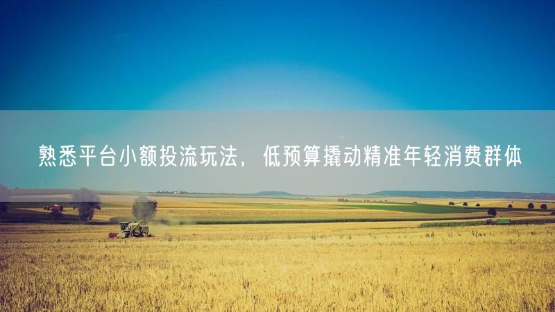 熟悉平台小额投流玩法，低预算撬动精准年轻消费群体
