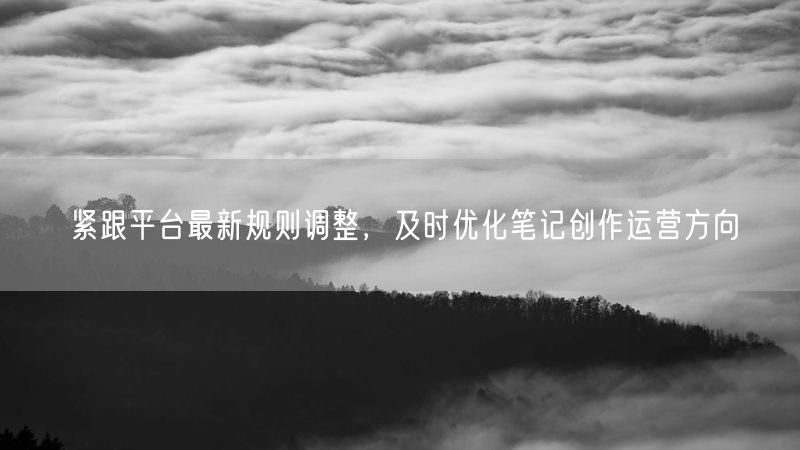 紧跟平台最新规则调整，及时优化笔记创作运营方向