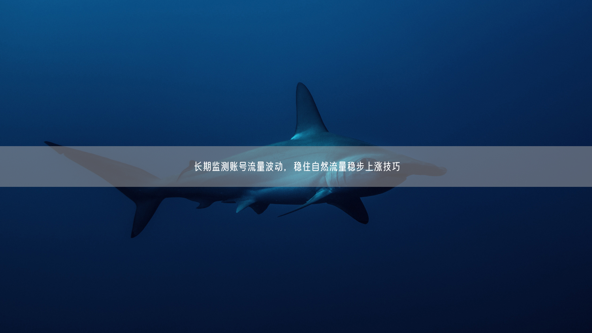 长期监测账号流量波动，稳住自然流量稳步上涨技巧