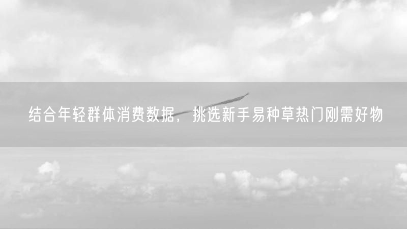 结合年轻群体消费数据，挑选新手易种草热门刚需好物