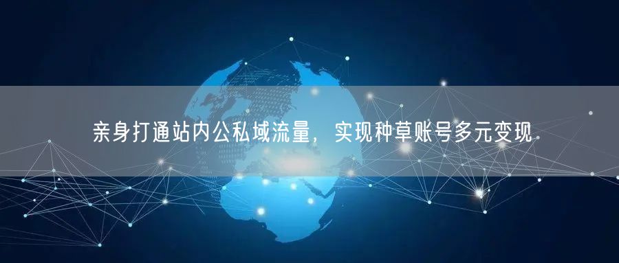 亲身打通站内公私域流量，实现种草账号多元变现