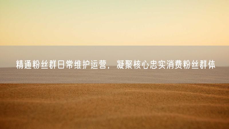精通粉丝群日常维护运营，凝聚核心忠实消费粉丝群体