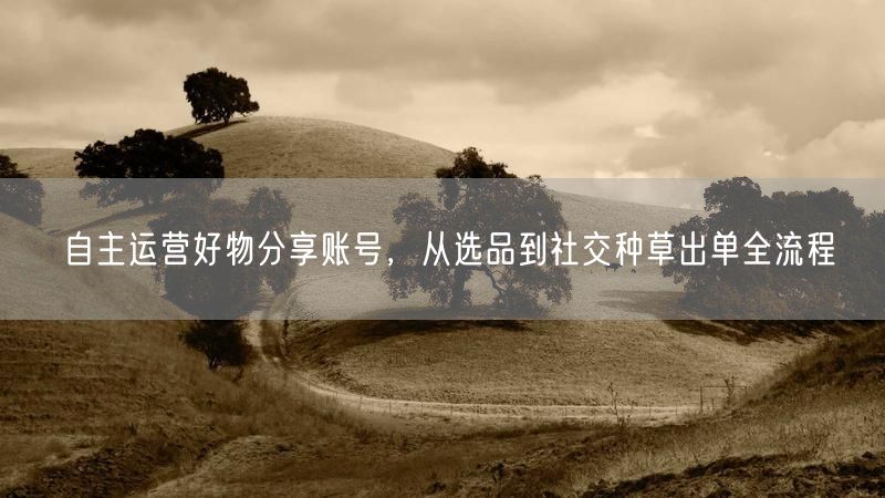 自主运营好物分享：选品策略+社交种草+出单技巧