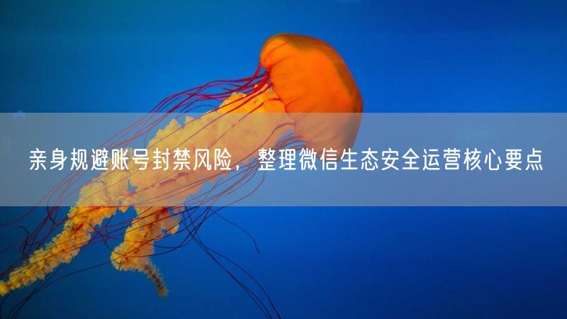 亲身规避账号封禁风险，整理微信生态安全运营核心要点
