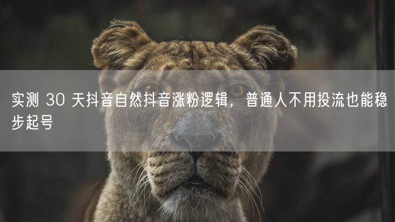 30天实测揭秘：普通人抖音自然涨粉起号逻辑
