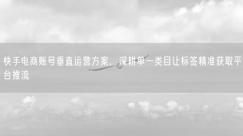 快手电商账号垂直运营方案，深耕单一类目让标签精准获取平台推流