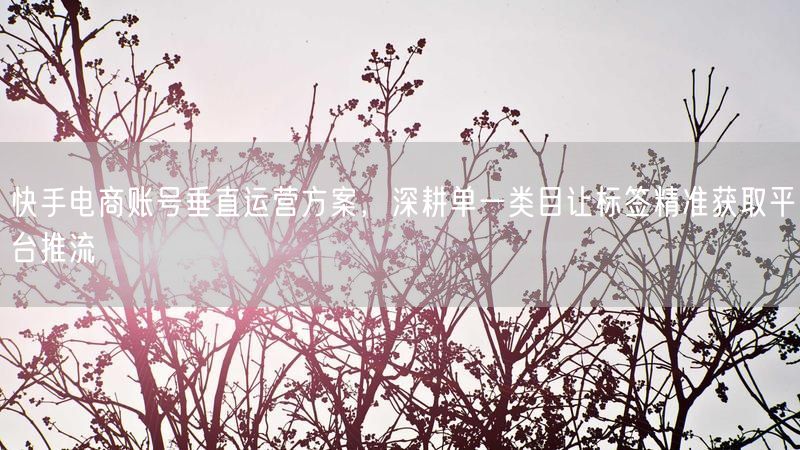 快手电商账号垂直运营：深耕单一类目，精准标签引推流