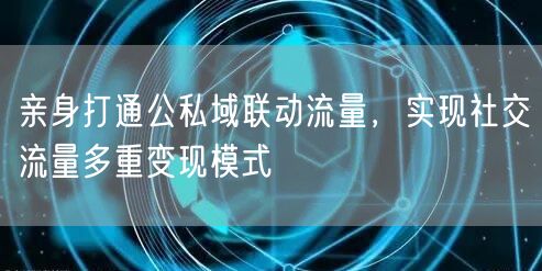 公私域联动实战：社交流量多重变现与私域运营