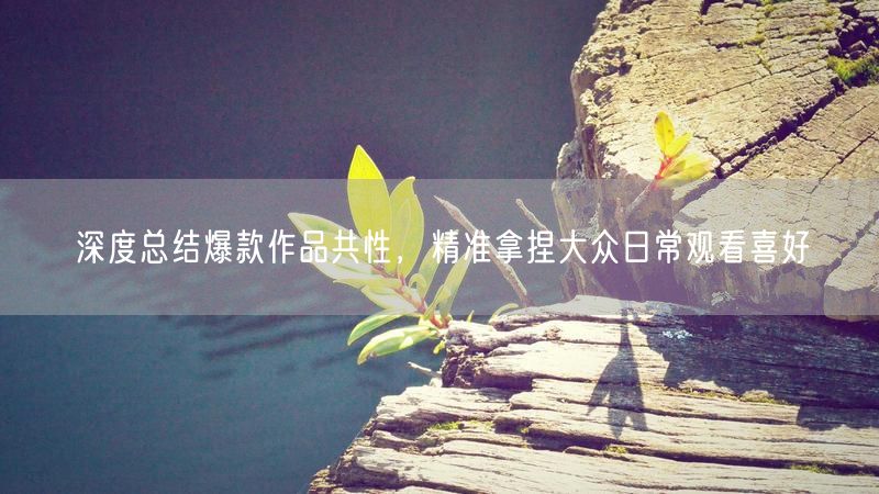 爆款作品共性分析：精准把握大众喜好与观看习惯