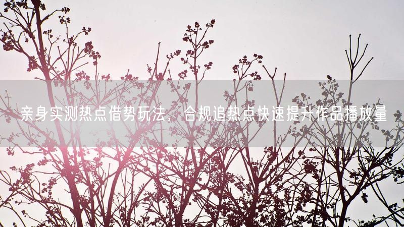 亲身实测热点借势玩法，合规追热点快速提升作品播放量
