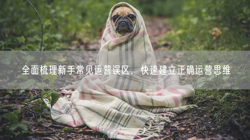 全面梳理新手常见运营误区,快速建立正确运营思维
