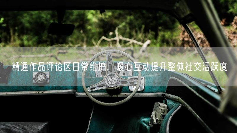 精通作品评论区日常维护，暖心互动提升整体社交活跃度