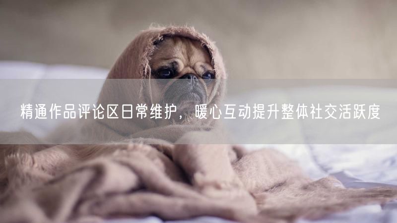 作品评论区日常维护+暖心互动，提升社交与用户粘性