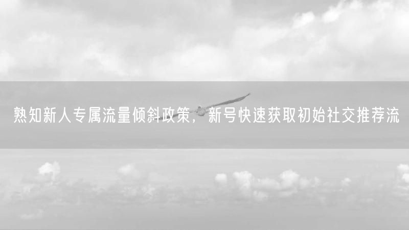 新人必看：流量扶持政策助力新号冷启动获社交推荐流