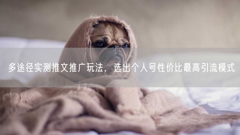 多途径实测推文推广玩法，选出个人号性价比最高引流模式