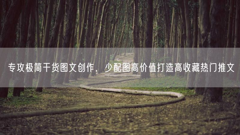 极简干货图文创作技巧，轻松打造高收藏热门推文