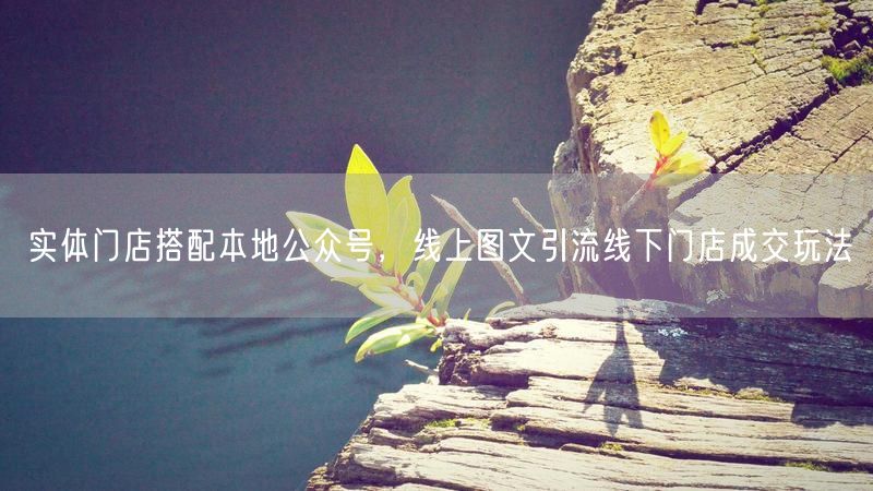 实体门店+本地公众号：线上引流线下成交玩法
