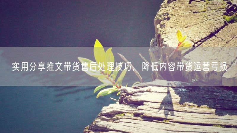 实用分享推文带货售后处理技巧，降低内容带货运营亏损