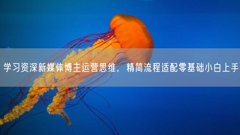 零基础学新媒体博主运营思维，精简流程快速上手