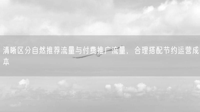 清晰区分自然推荐流量与付费推广流量,合理搭配节约运营成本