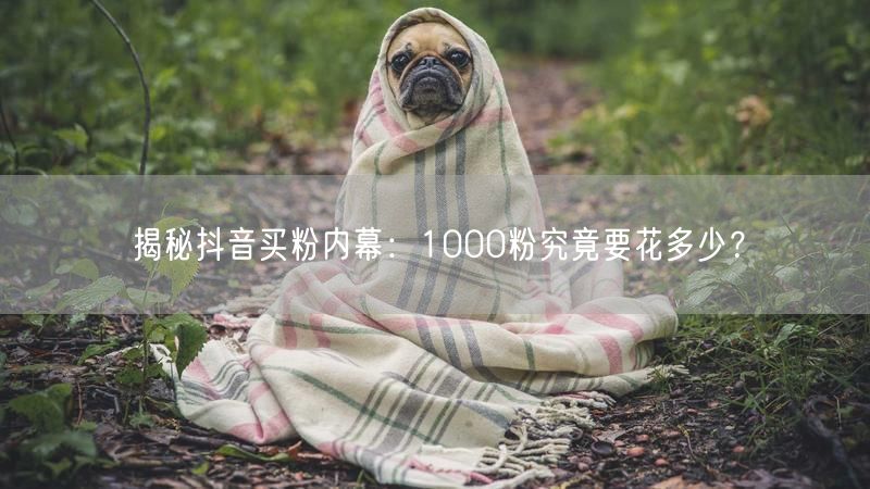 揭秘抖音买粉内幕：1000粉究竟要花多少？