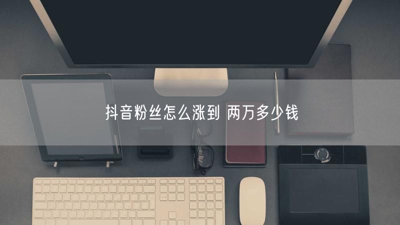 抖音粉丝怎么涨到 两万多少钱