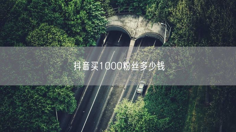 抖音买1000粉丝多少钱