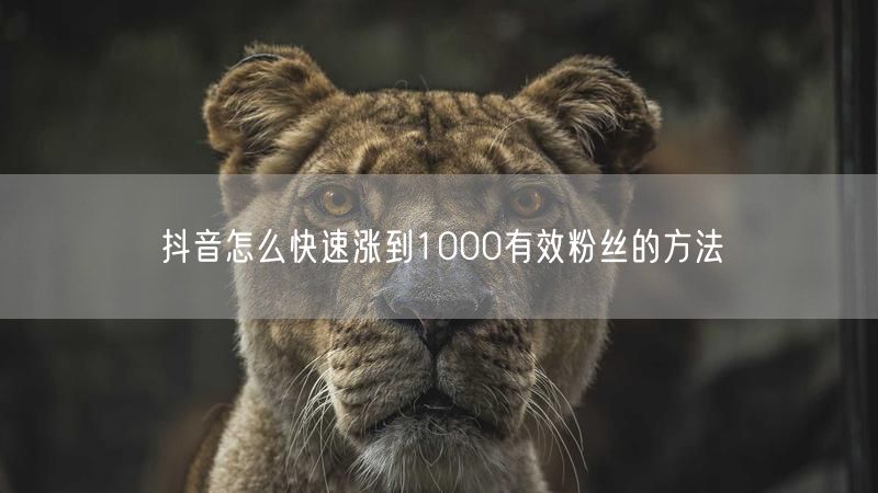 抖音怎么快速涨到1000有效粉丝的方法