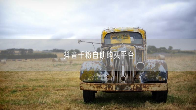 抖音千粉自助购：快速提升账号影响力新途径