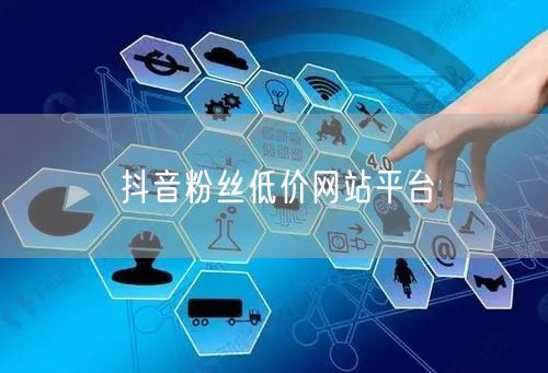 抖音粉丝低价网站平台