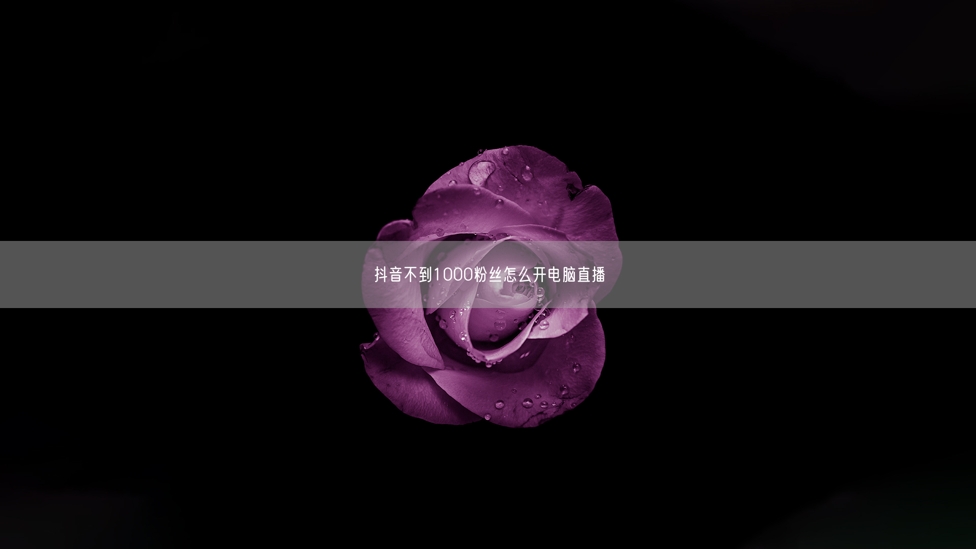 抖音不到1000粉丝怎么开电脑直播