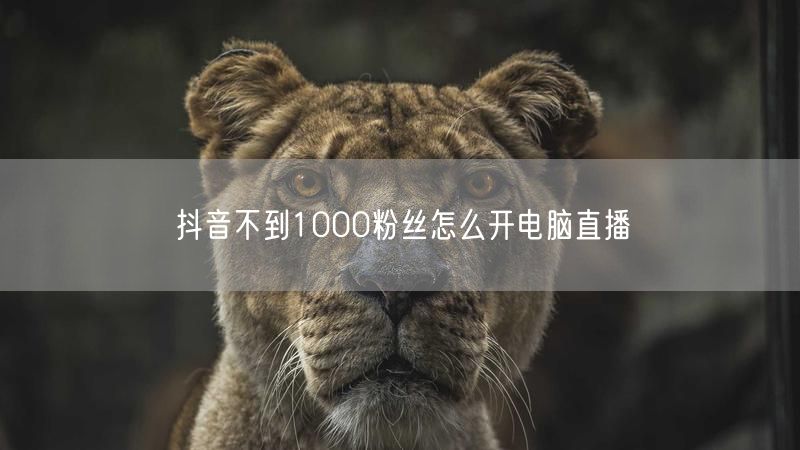 抖音粉丝不足1000？电脑直播开通方法与技巧