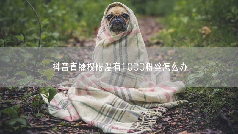 抖音直播权限没有1000粉丝怎么办