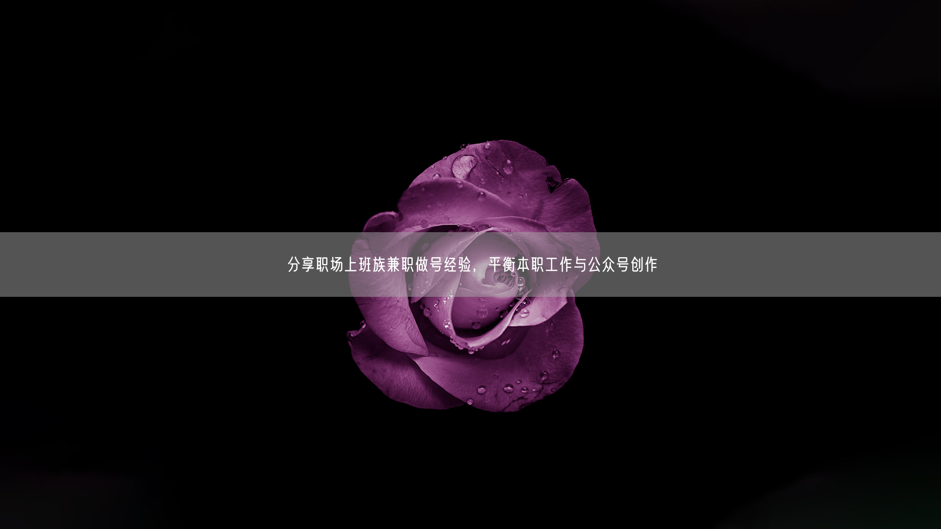 分享职场上班族兼职做号经验，平衡本职工作与公众号创作