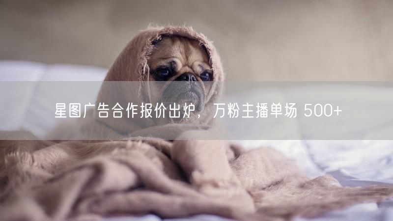 星图广告合作报价出炉，万粉主播单场 500+